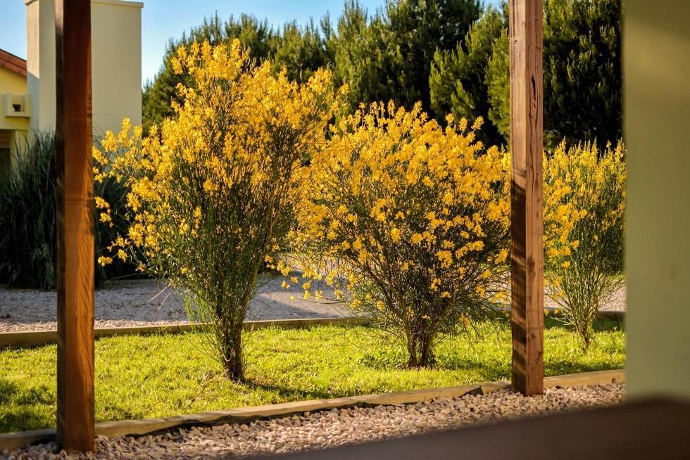 Cabanas De Las Pinturas Villa Sierra de la Ventana Dış mekan fotoğraf