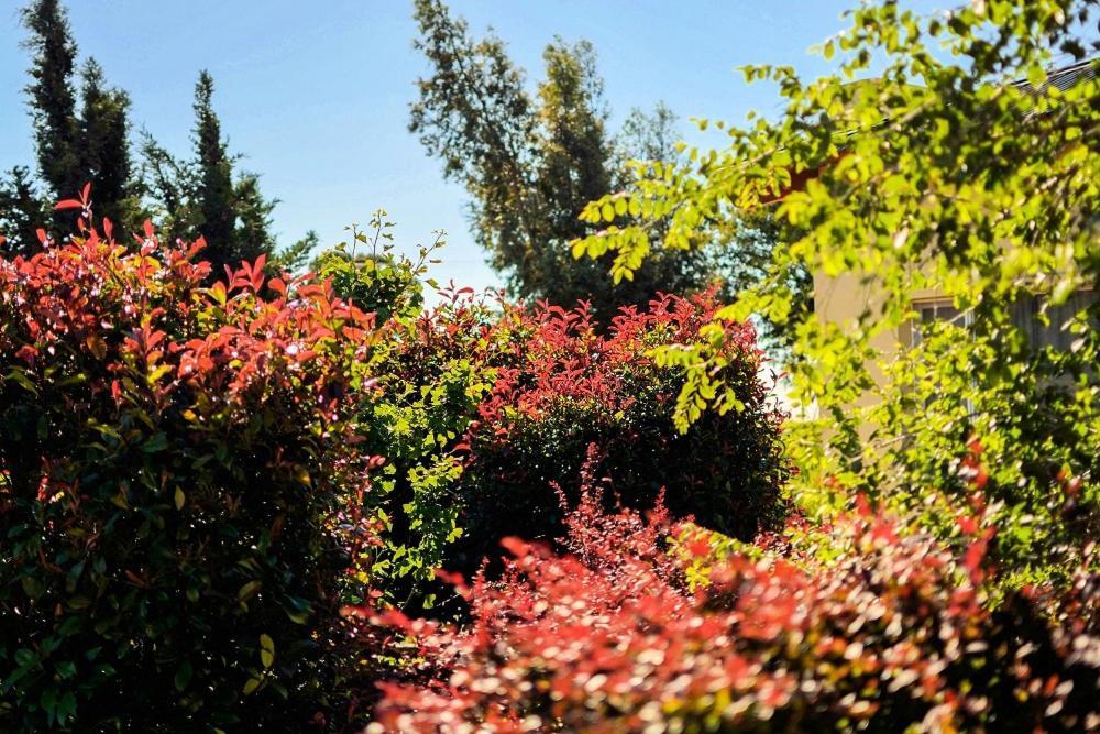 Cabanas De Las Pinturas Villa Sierra de la Ventana Dış mekan fotoğraf